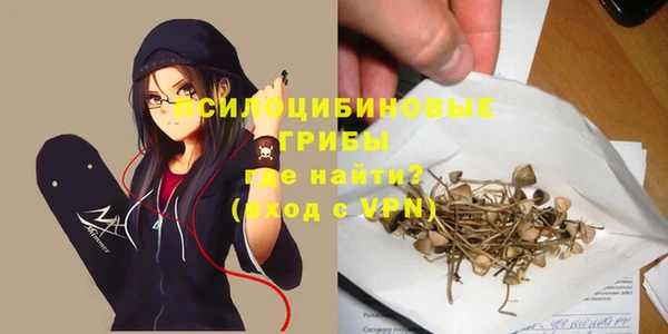 ПСИЛОЦИБИНОВЫЕ ГРИБЫ Алексин