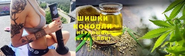 ПСИЛОЦИБИНОВЫЕ ГРИБЫ Алексин