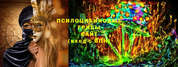 ПСИЛОЦИБИНОВЫЕ ГРИБЫ Алексин