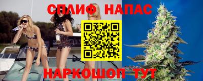 гидра Гагарин