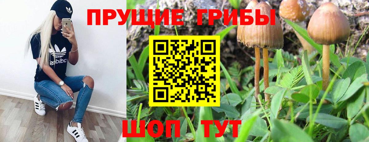 Псилоцибиновые грибы Magic Shrooms Муравленко